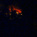 写真: 東山スカイタワーから見た夜景 No - 42：紅葉ライトアップ中の東山植物園