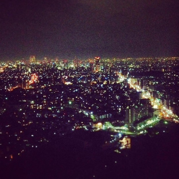 写真: 東山スカイタワーから見た夜景 No - 44：広小路通と名駅・栄方面