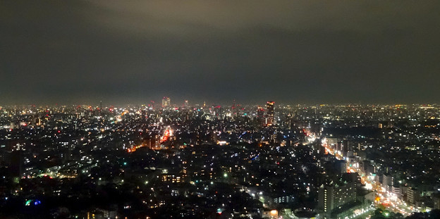 写真: 東山スカイタワーから見た夜景 No - 47：広小路通と名駅・栄方面
