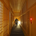 写真: 名古屋城 本丸御殿 2014年1月 No - 74：表書院裏の廊下