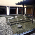 写真: 名古屋能楽堂：建物の中央にある池 - 2