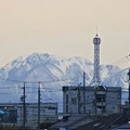 写真: 春日井市内から見えた、雪を頂く伊吹山 - 6