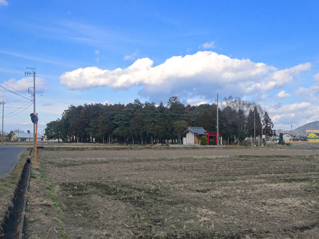 写真: 田んぼの中にポツンと浮かぶ、青塚前神明社 - 6
