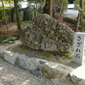 写真: 大縣神社 No - 06：さざれ石
