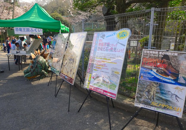 写真: 東山動植物園 春まつり 2014：福井県立恐竜博物館のPRブース - 01