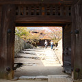 写真: 秋の松山城　大門