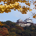 写真: 空に浮かぶ松山城