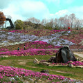 写真: 花夢の巨石