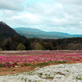 写真: 花夢の山並み