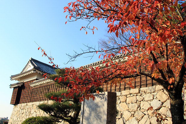 写真: 二ノ丸史跡公園の秋
