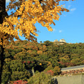 写真: 秋空のお城