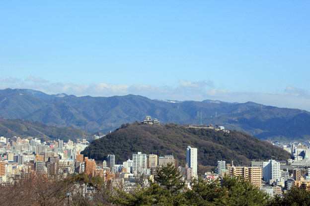写真: 早春の松山城