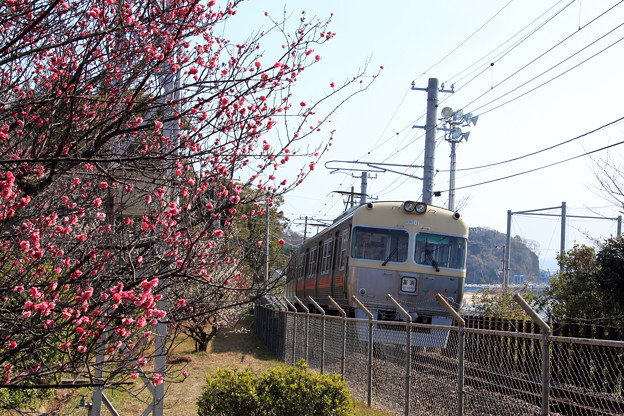 写真: 春電車