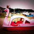 写真: Cabaret Pink Flamingo