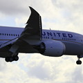 写真: 787-8 United 004