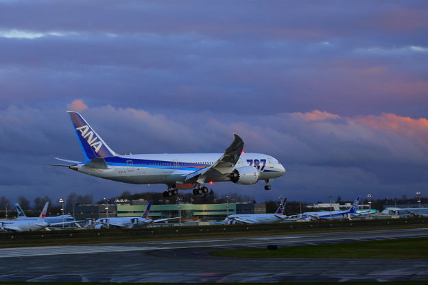 ANA 787-8 with ACL_12-12-04_004