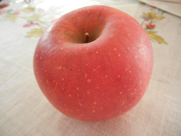 写真: おリンゴ、貰いました(≧∇≦)ﾉ彡