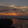 写真: 有明海の干潟