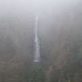 写真: 雨と霧の滝