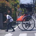 写真: 鎌倉市内を走る人力車 #湘南 #鎌倉 #mysky