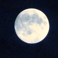 写真: スーパームーン前日の月　(２)