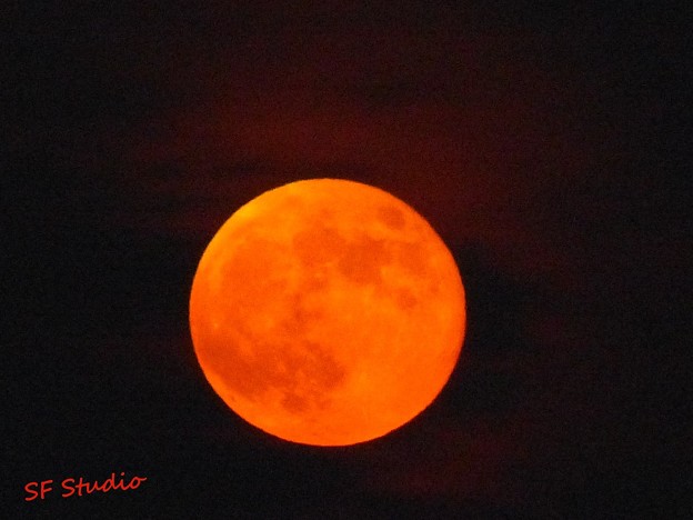 写真: 速報 ”赤い満月”