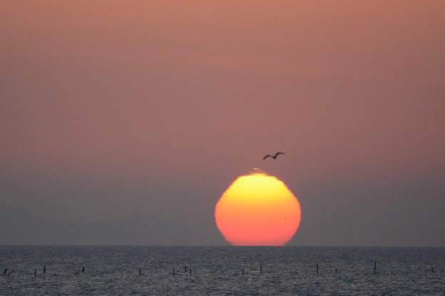 写真: 霞む伊良湖岬の日の出