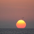 霞む伊良湖岬の日の出