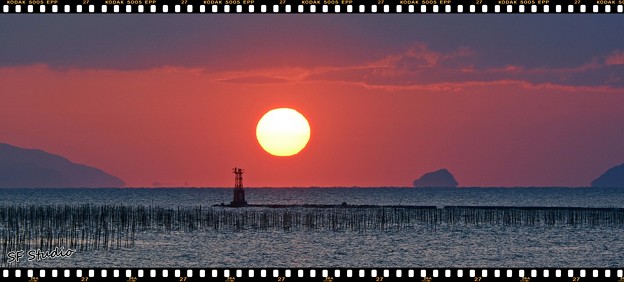 写真: 伊良湖の朝