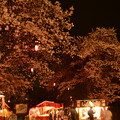 夜桜と屋台 [清水公園(千葉県野田市)]