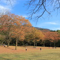 樹木公園