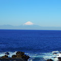 写真: 青い海に富士の威厳。