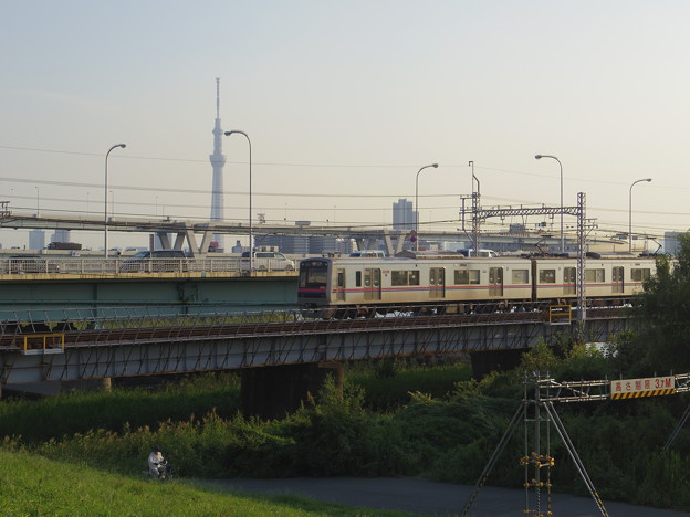 写真: 京成電車とスカイツリー