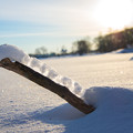 写真: 雪のオブジェ