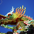 写真: 関帝廟の龍