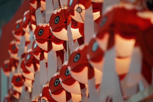 写真: 柳井金魚ちょうちん祭り