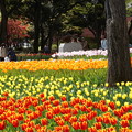 写真: 春の横浜公園