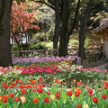 写真: 春の横浜公園