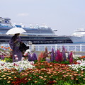 写真: 花壇と客船