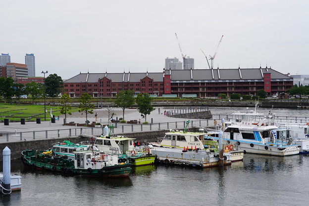 写真: 横浜港と赤レンガ倉庫