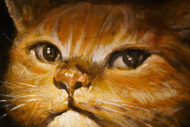 写真: 油絵の猫