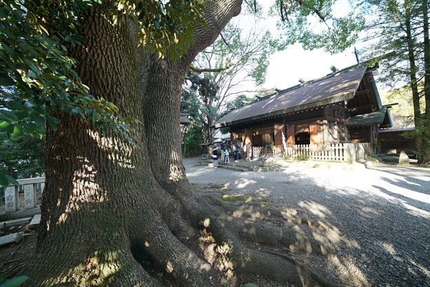 写真: 洲崎神社