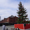 Photos: クリスマスツリー