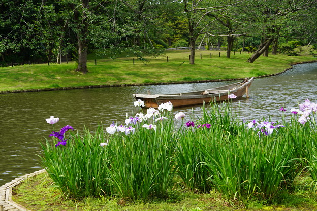 写真: 小舟と花菖蒲