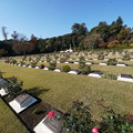 Photos: 英連邦戦死者墓地
