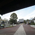 Photos: 本覚寺