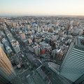 見下ろす横浜市街