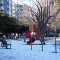 写真: 冬の公園