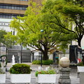 横浜開港記念広場