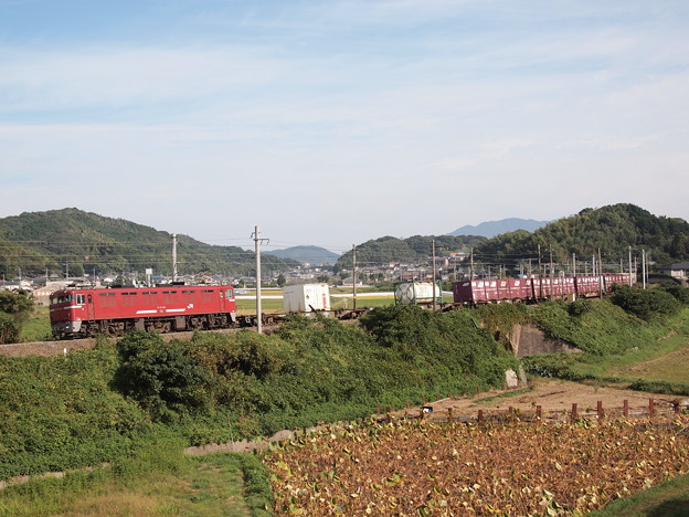 ED76　貨物(鹿児島本線　東郷〜東福間)